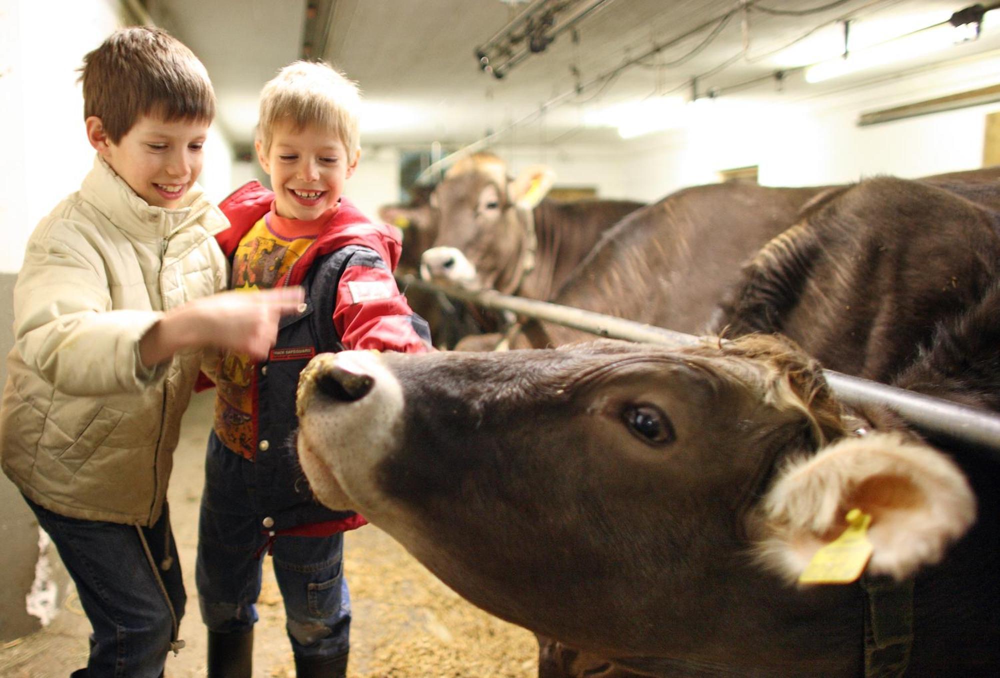 Kinderbauernhof Leneler Arzl im Pitztal Exteriör bild